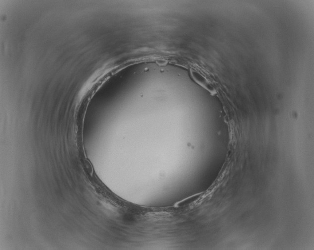 X0000076420150200610271717