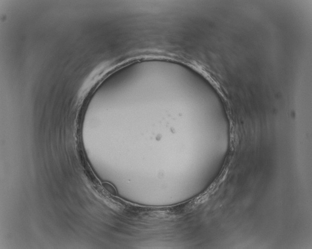 X0000076420151200610271717