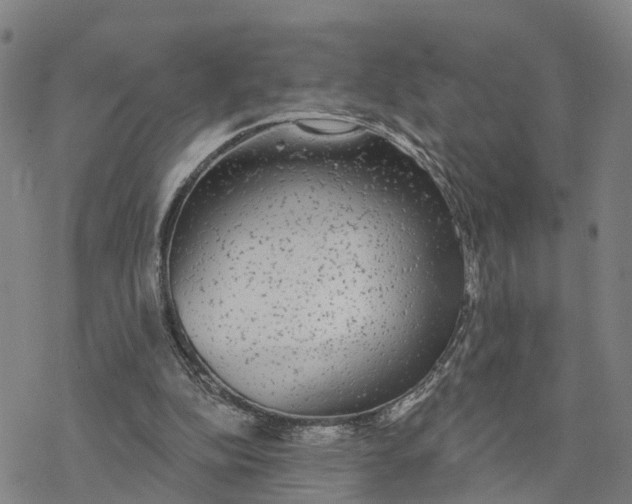 X0000076420152200610271717