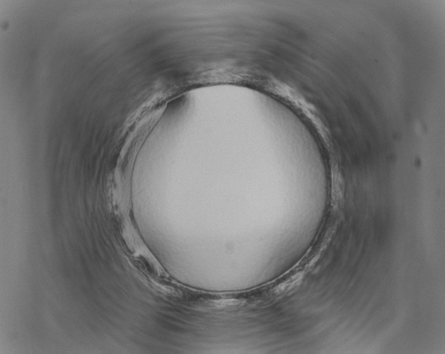 X0000076420153200610271717