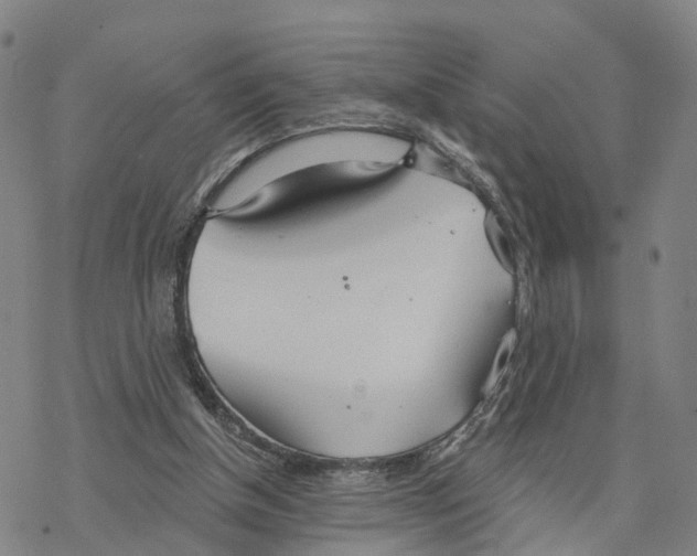 X0000076420154200610271717