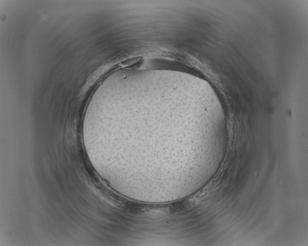 X0000076420155200610271717