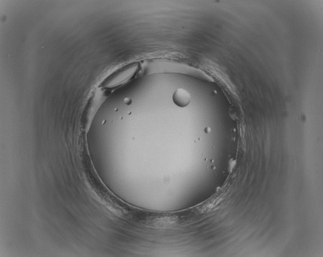 X0000076420156200610271717