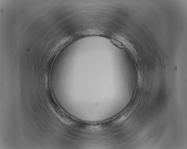 X0000076420157200610271717