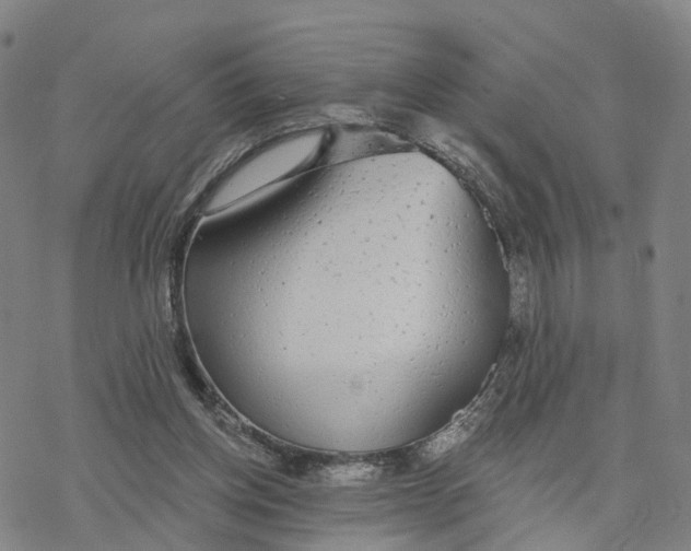 X0000076420158200610271717