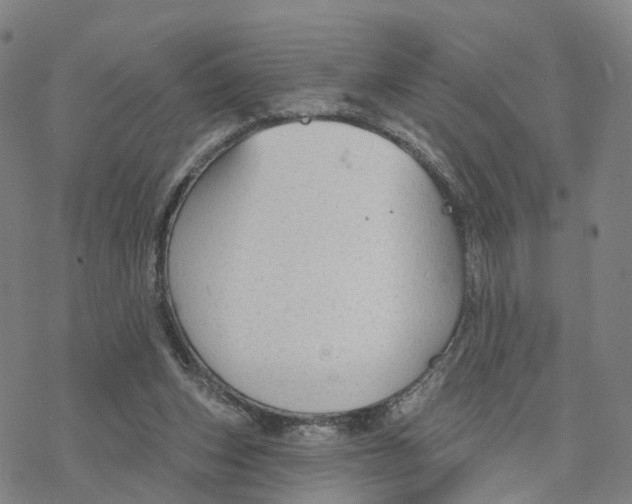 X0000076420159200610271717