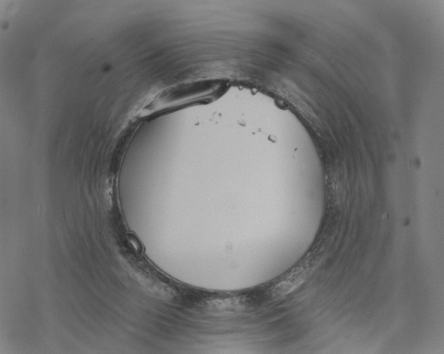 X0000076420160200610271717