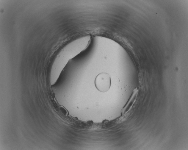 X0000076420162200610271717