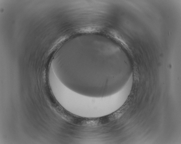 X0000076420163200610271717