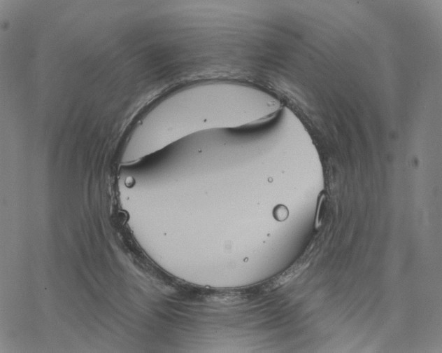 X0000076420164200610271717