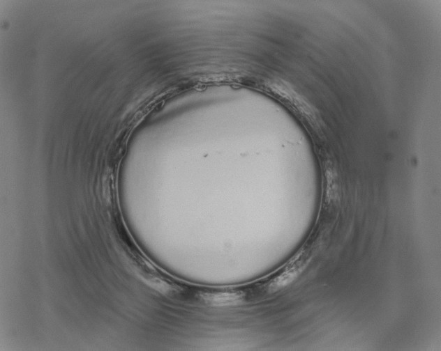 X0000076420165200610271717