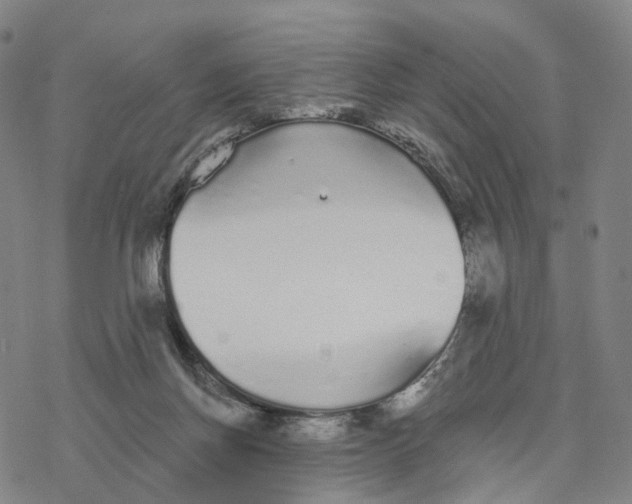 X0000076420166200610271717