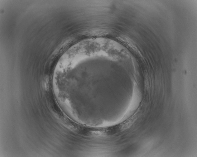 X0000076420167200610271717