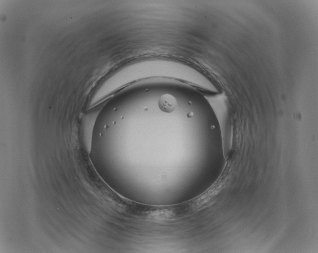 X0000076420168200610271717