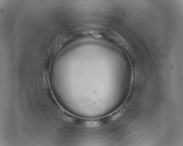 X0000076420169200610271717