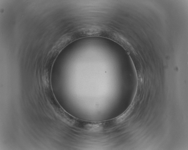 X0000076420170200610271717