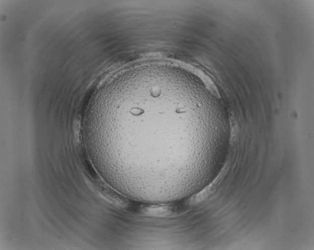 X0000076420171200610271717