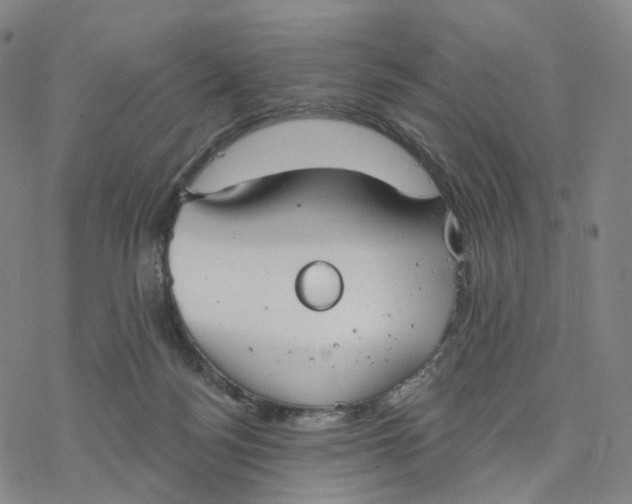 X0000076420172200610271717