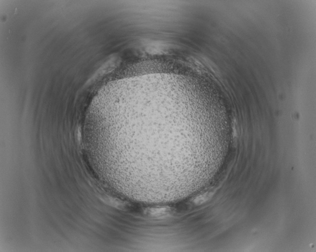 X0000076420173200610271717