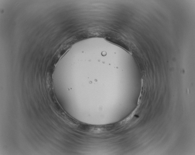 X0000076420174200610271717