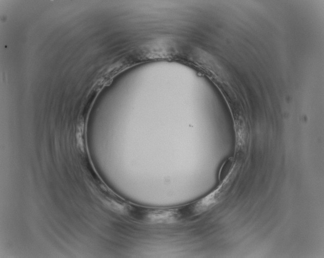 X0000076420175200610271717