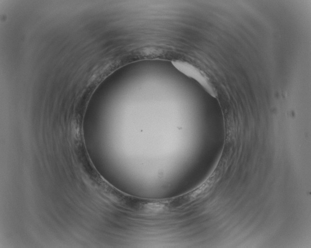 X0000076420176200610271717