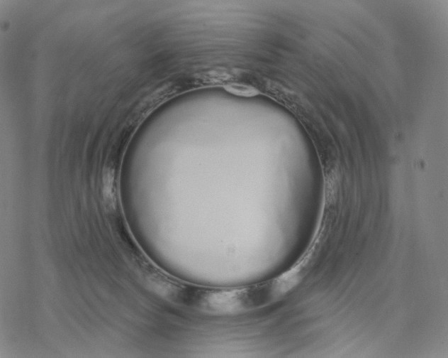 X0000076420178200610271717