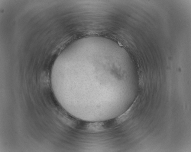 X0000076420179200610271717