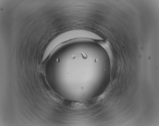 X0000076420180200610271717