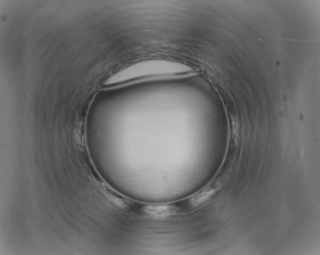 X0000076420181200610271717