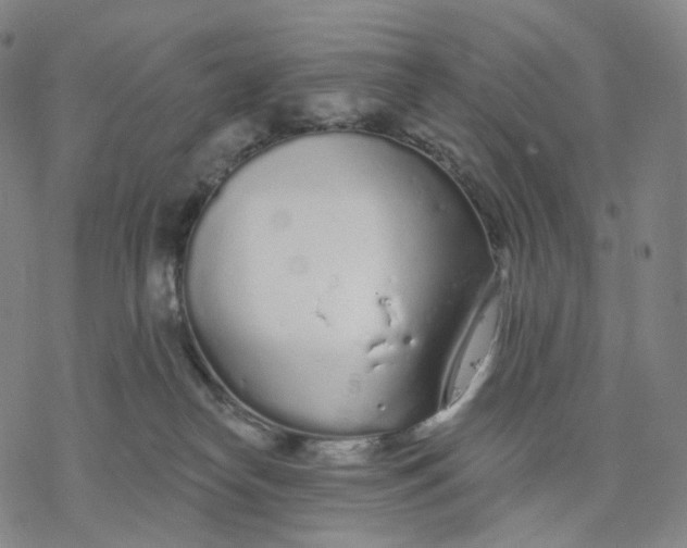 X0000076420182200610271717