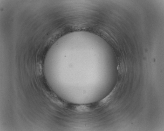 X0000076420183200610271717