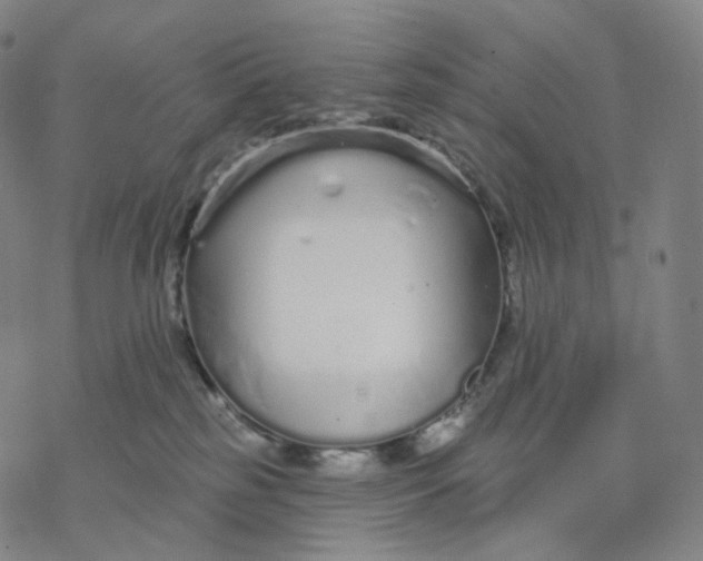 X0000076420185200610271717