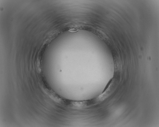 X0000076420187200610271717