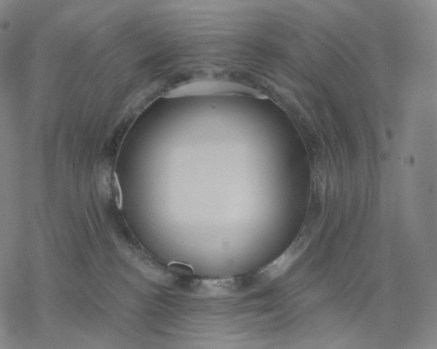 X0000076420188200610271717