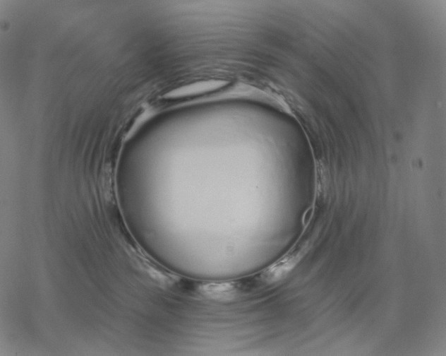 X0000076420189200610271717