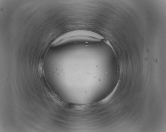 X0000076420190200610271717