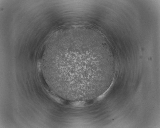 X0000076420191200610271717