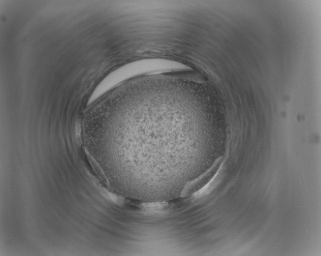 X0000076420192200610271717