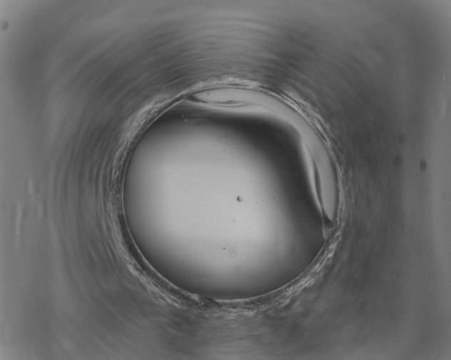 X0000076420193200610271716