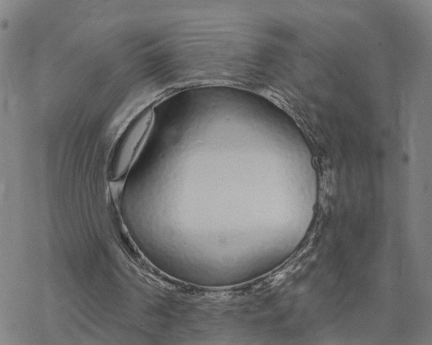 X0000076420194200610271716