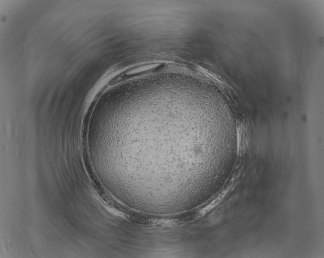 X0000076420195200610271716