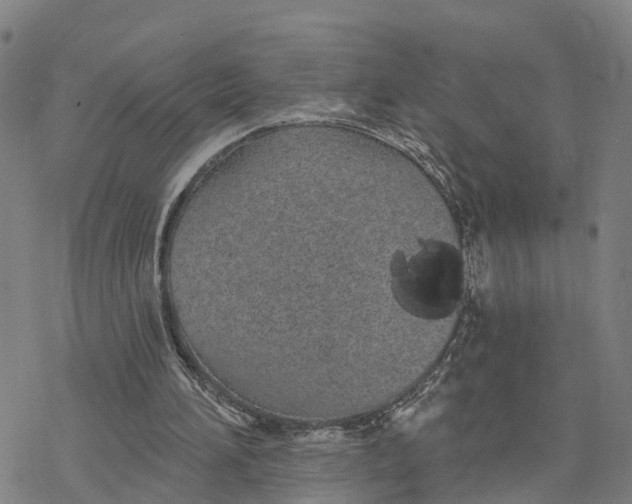 X0000076420196200610271716