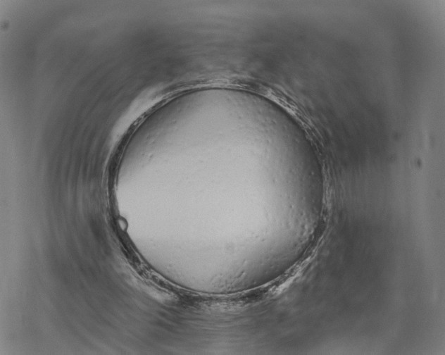 X0000076420198200610271716