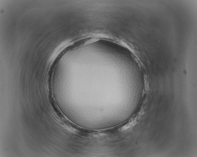 X0000076420199200610271716