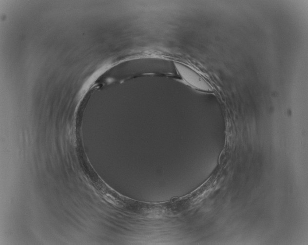 X0000076420200200610271716