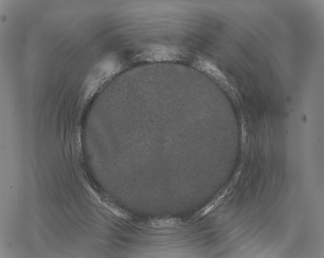 X0000076420202200610271716