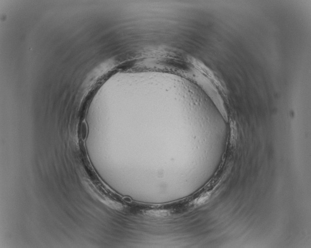 X0000076420203200610271716