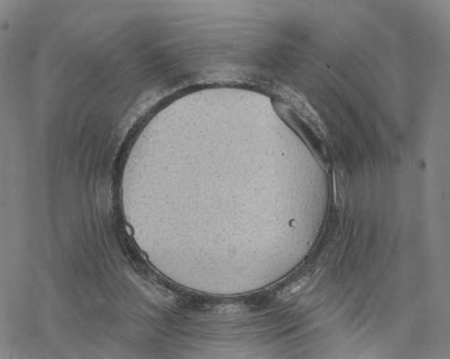 X0000076420204200610271716