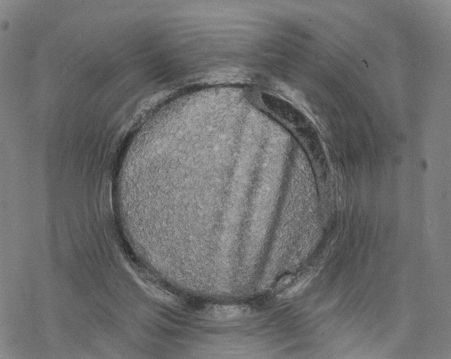 X0000076420205200610271716